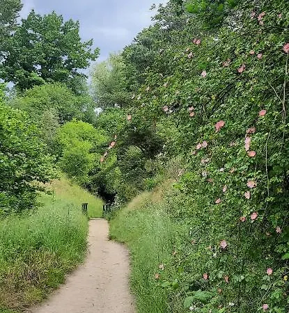 Campsite Przyczepa Kempingowa Niewiadow Nad Morzem Chlapowo Wladyslawowo